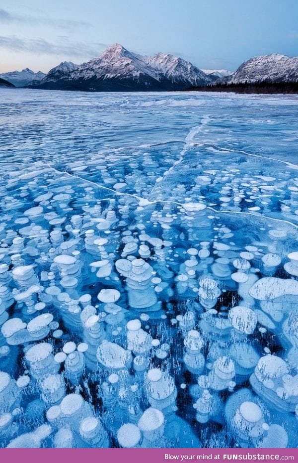 Bubbles of methane in a frozen lake