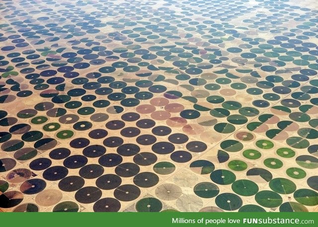 Farms in Saudi Arabia
