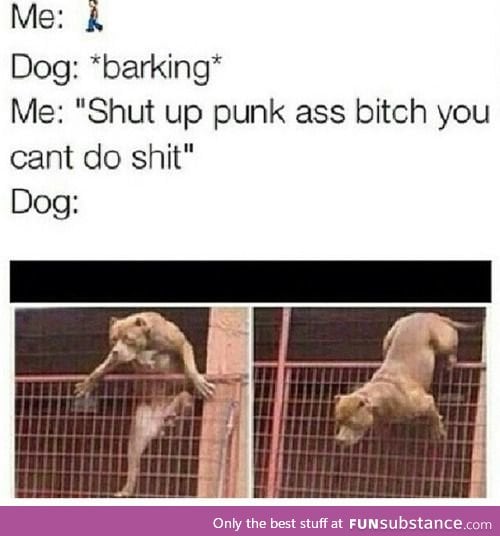 dog shit