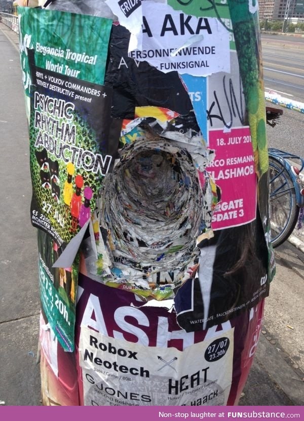 The amount of flyers on this pole