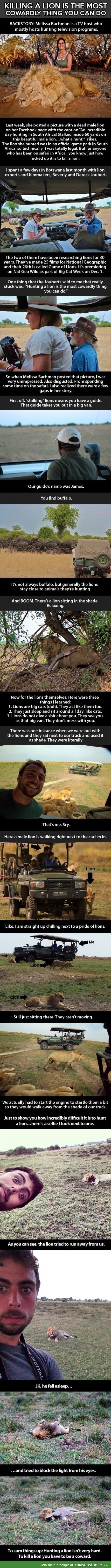 Killing A Lion Is The Most Cowardly Thing You Can Do
