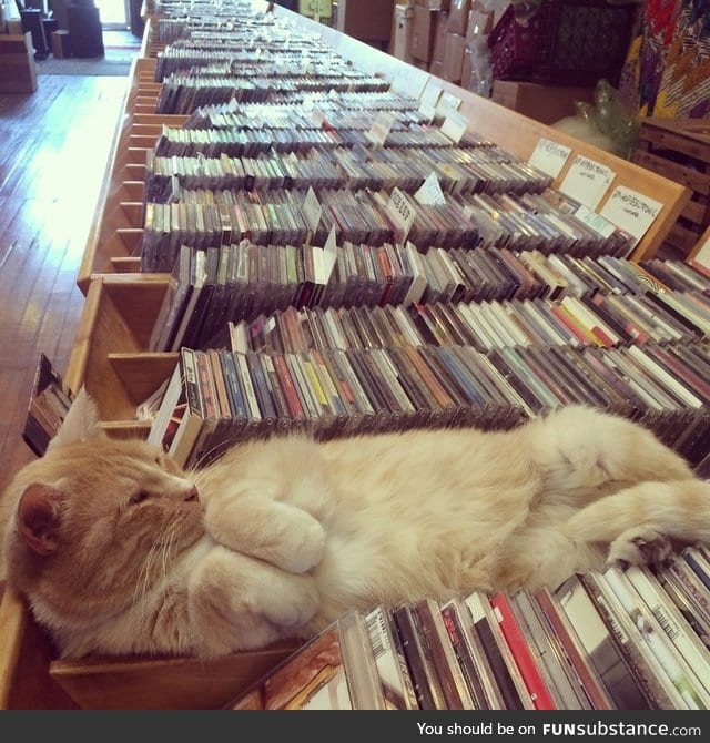 Lazy record store employee