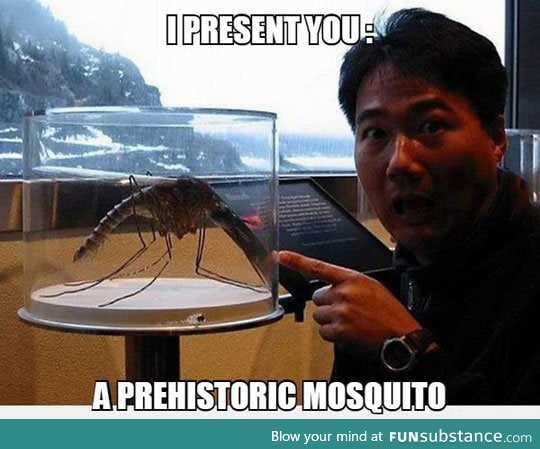What a mosquito looked like millions of years ago