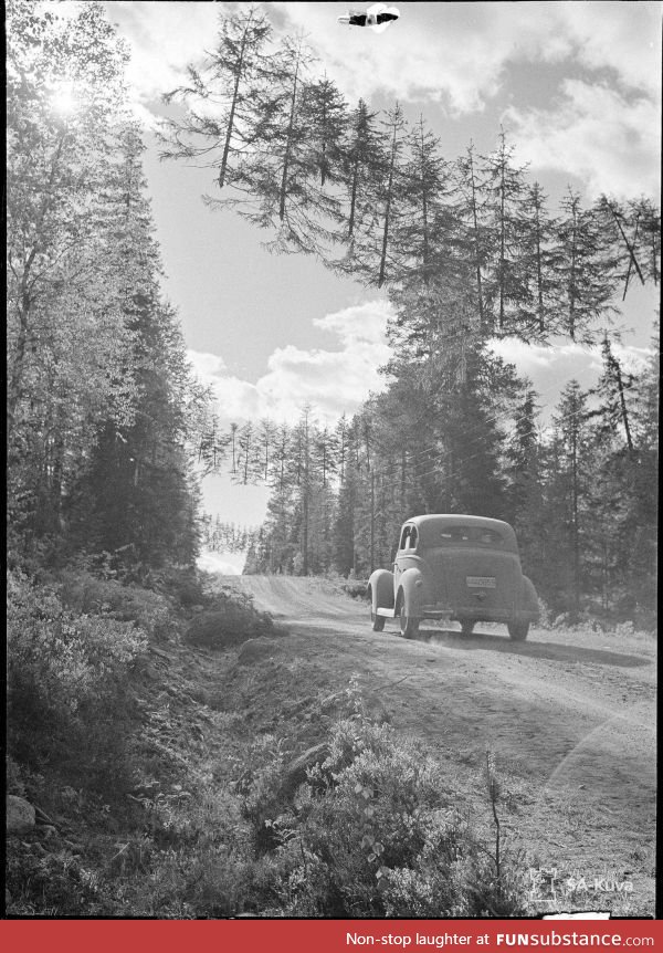 A camouflaged road in Finland during WW2