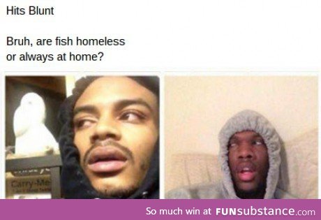 Do fishes have homes?