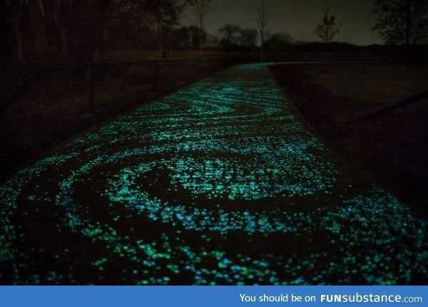 Glow in the Dark Bicycle path inspired by Van Gogh's Starry Night