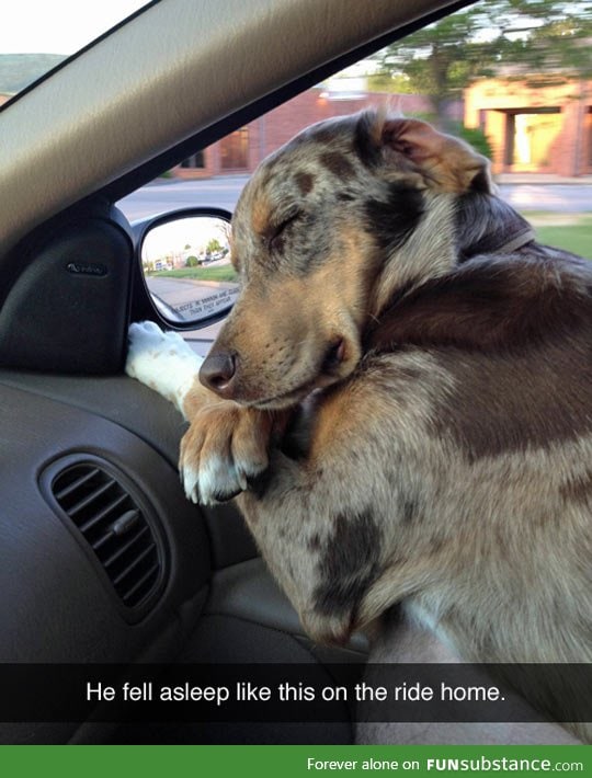 Taking a Nap In The Car