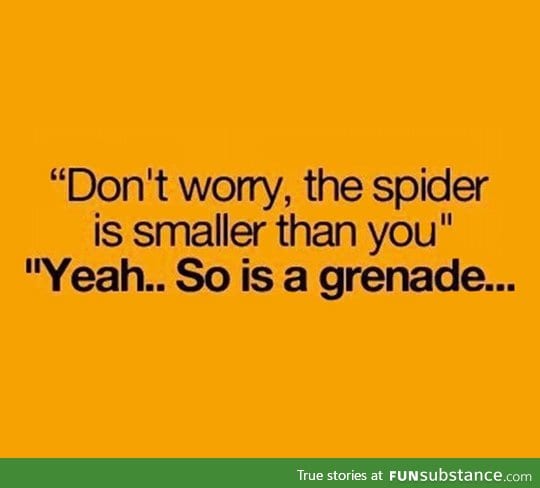 Spiders and Grenades