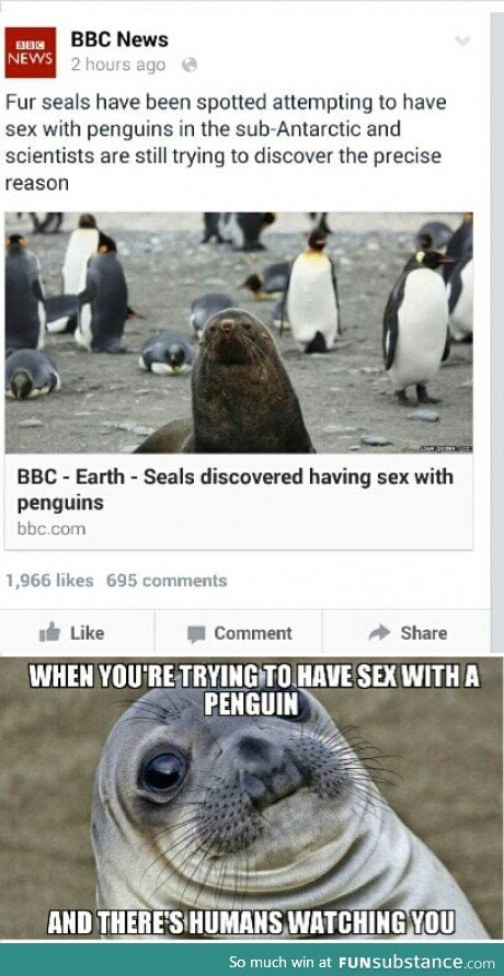 We need sealguins
