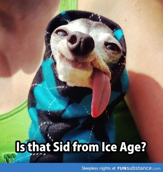 Sid from ice age
