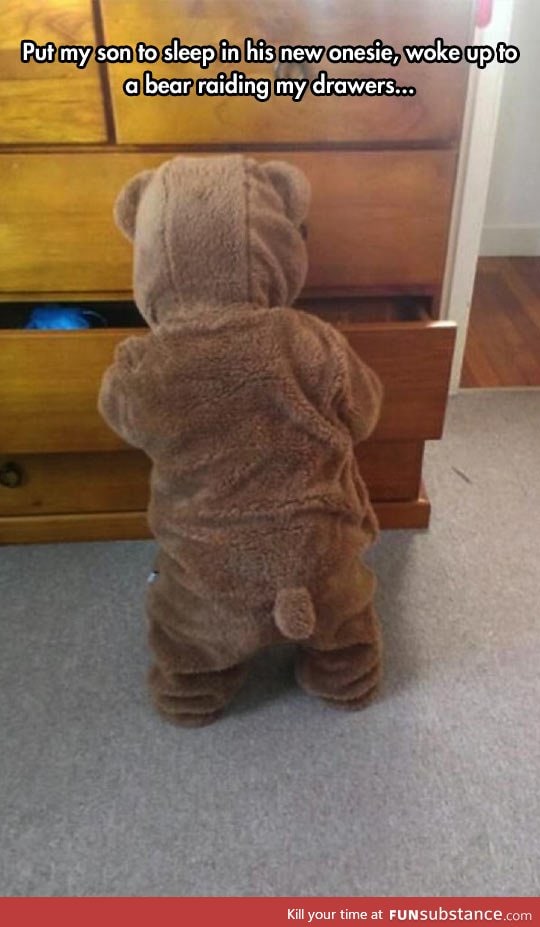 A cute bear broke into her room