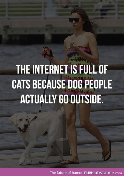 Why the internet is full of cats