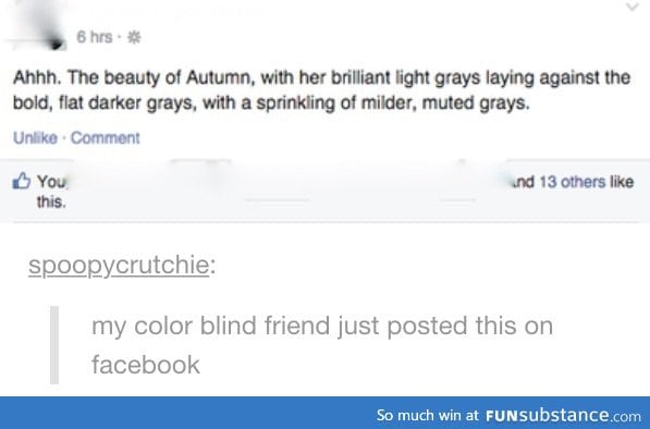 50 shades of grey