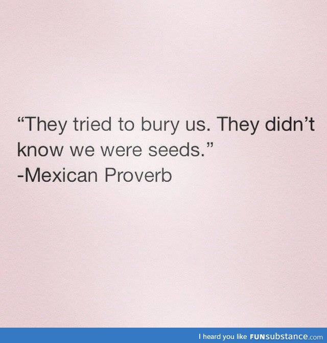 Mexican proverb