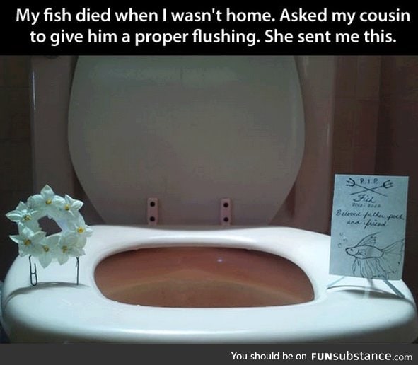 Proper fish flushing
