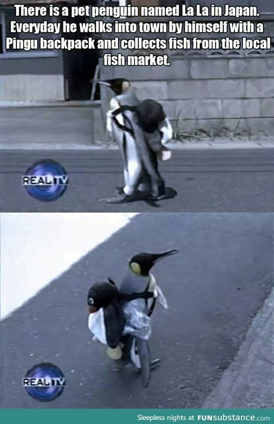 I really need a penguin now