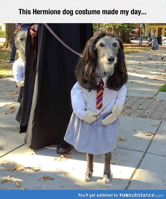 She is definitely going to dogwarts
