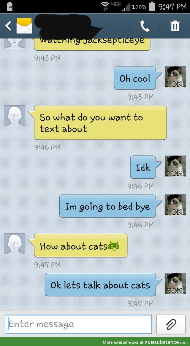 Talking About Cats Instead Of Going To Bed 'Cuz Priorities