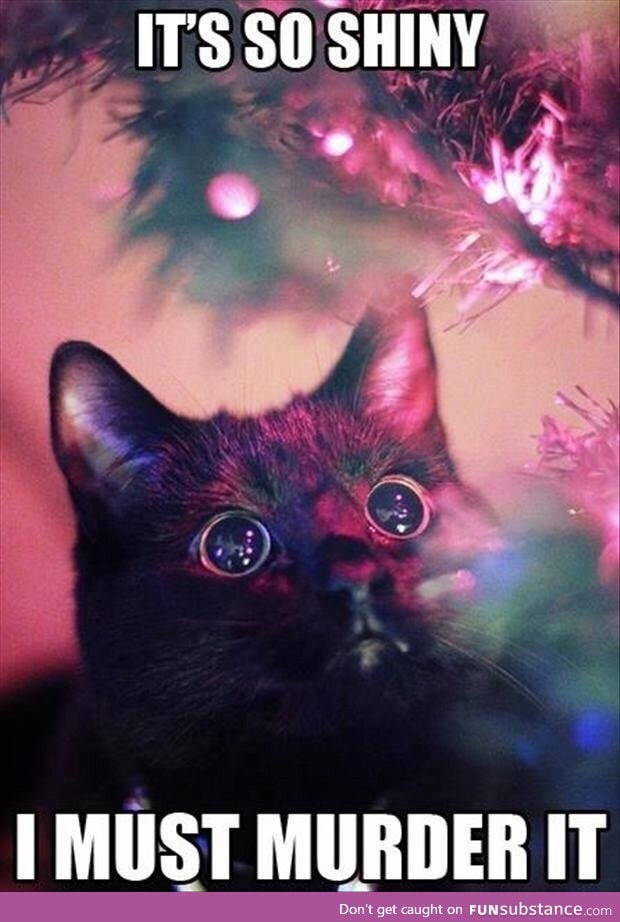 Tis the season for cats in Christmas trees