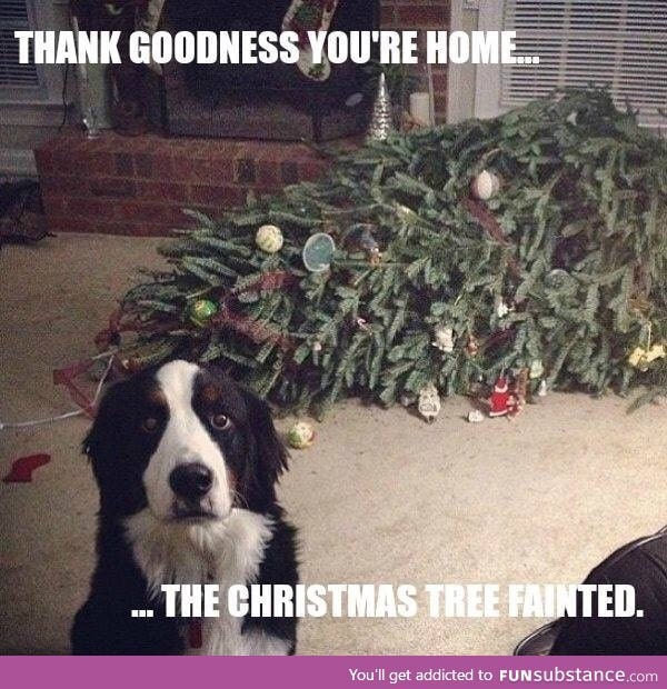 The tree fainted