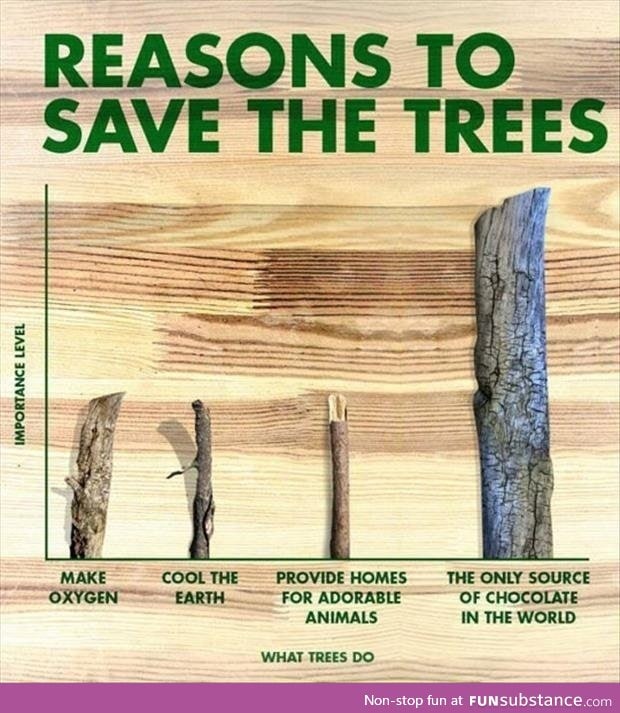 Reasons to save the trees