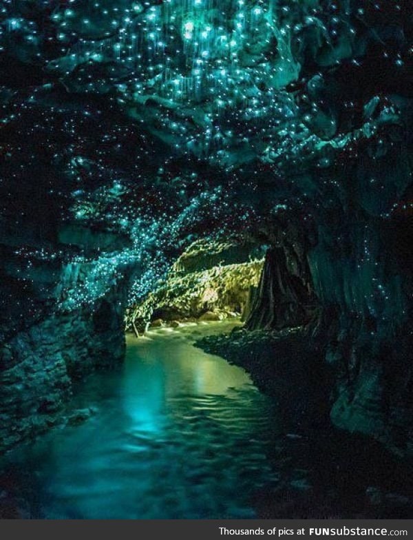 Glowworm Cave in New Zealand