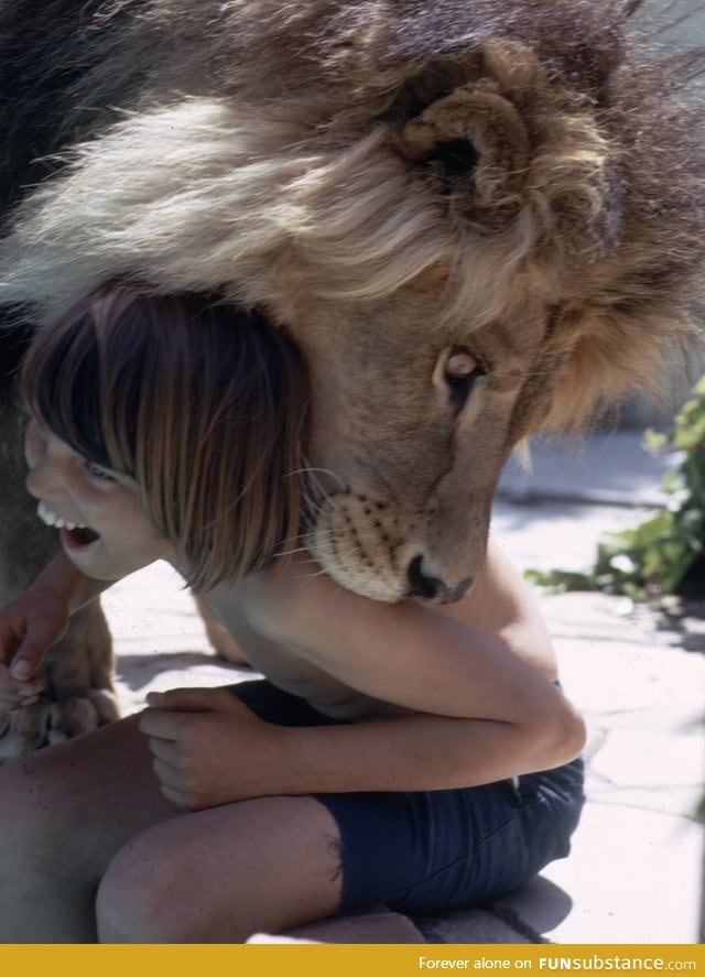 Living with a Lion
