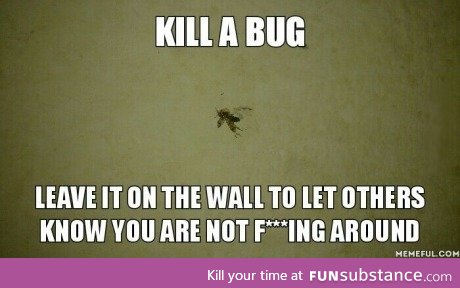 Kill a bug...