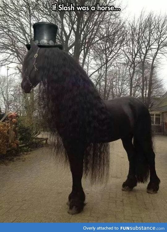 If Slash was a horse