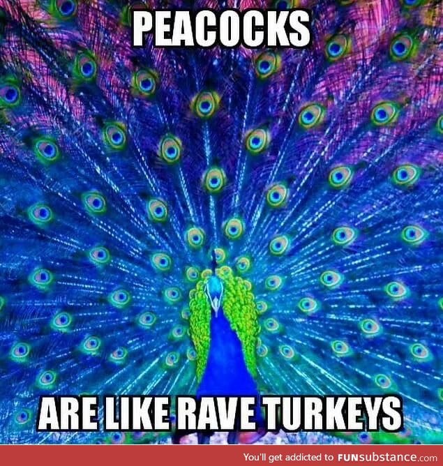 Rave Turkeys