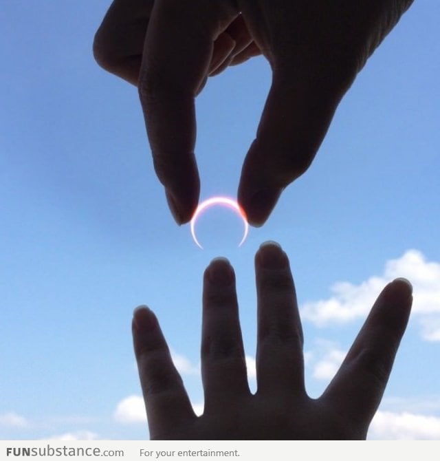 Coolest way to propose