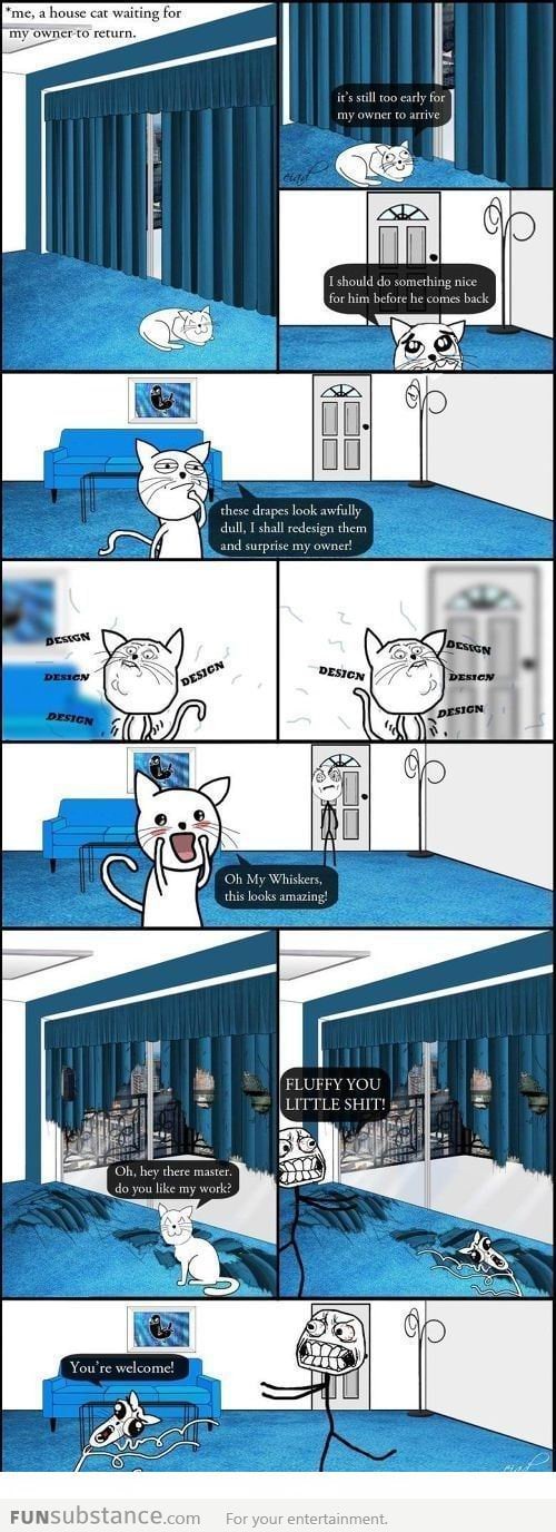 The logic of cat