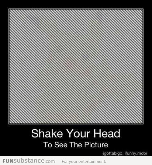 Shake your head to see the hidden picture