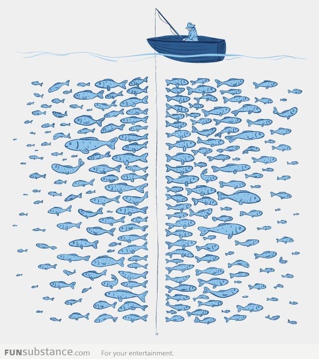 There are plenty of fishes in the sea