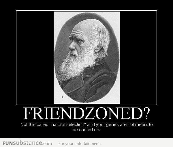 Friendzone as explained by science