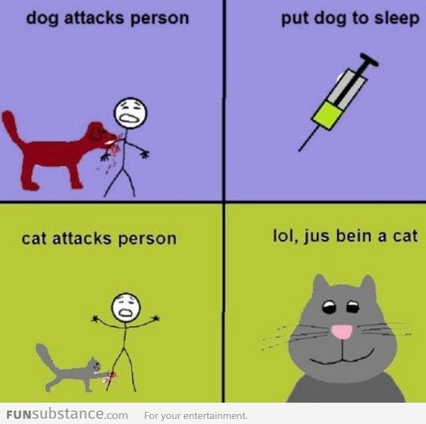 Cats Vs Dogs