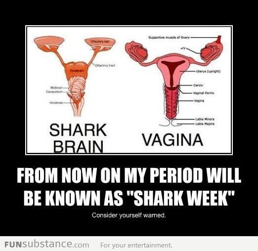 Shark Week