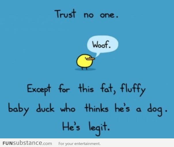 Only trust this duck