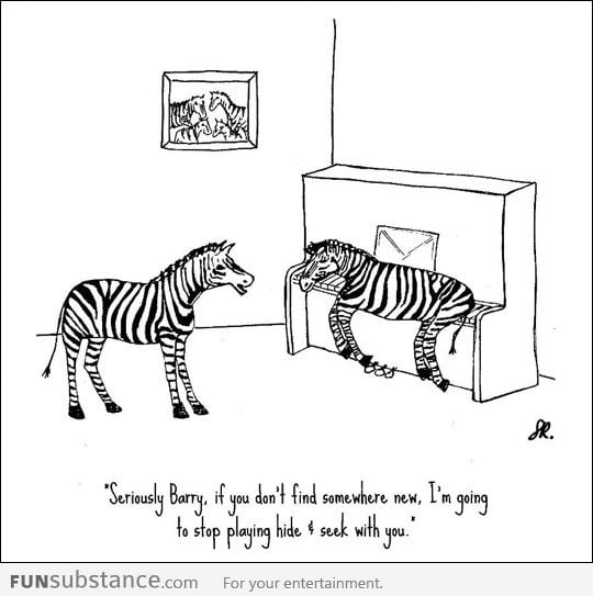 Zebras Playing Hide and Seek