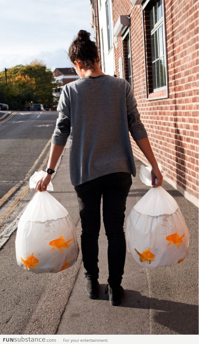Goldfish Trash Bags