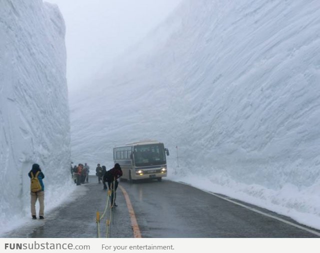 This is what a 60 foot snowfall clearing looks like