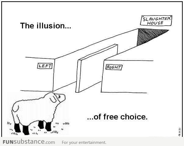 The Illusion Of A Free Choice