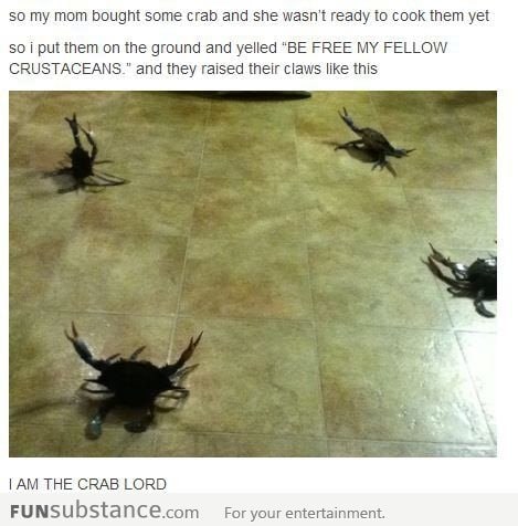 I am the crab lord!