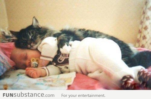 Cat cuddles baby