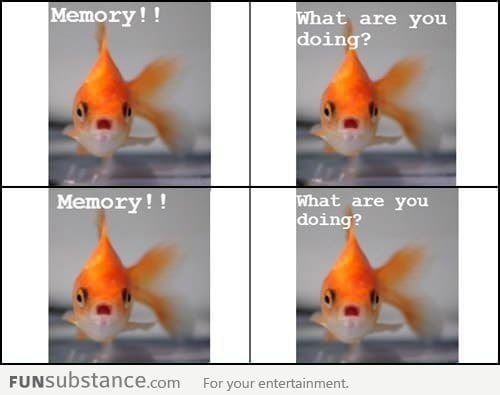 Memory please!