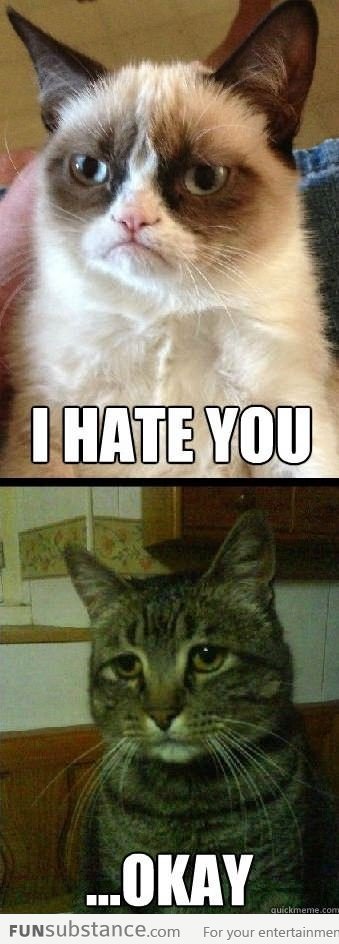 The love story of Grumpy Cat and Depressed Cat