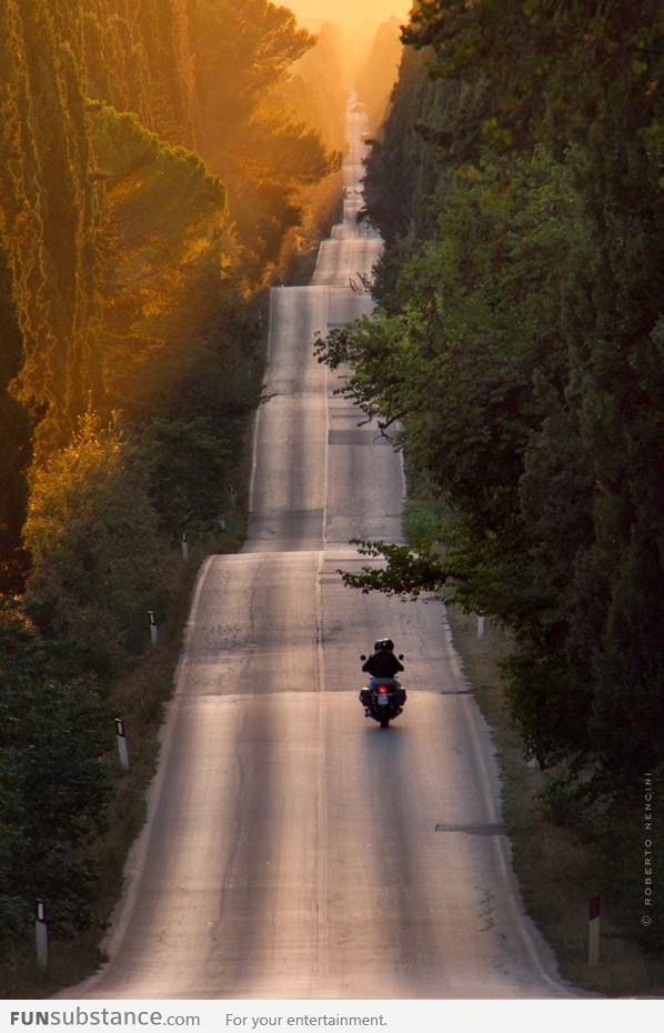 Riding on this road in Bolgheri (Italy) must be fun!