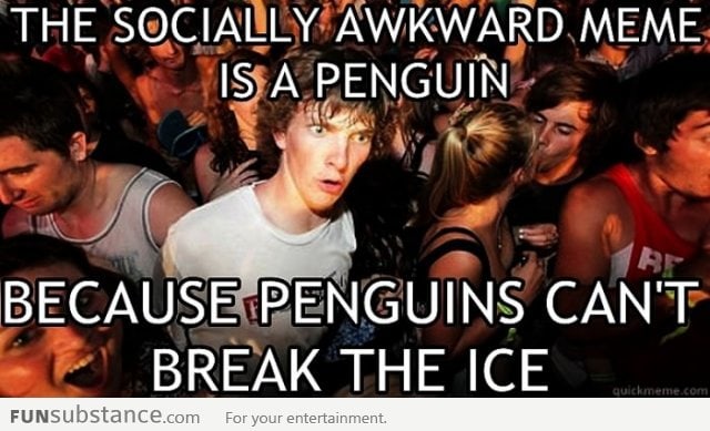Why the socially awkward penguin
