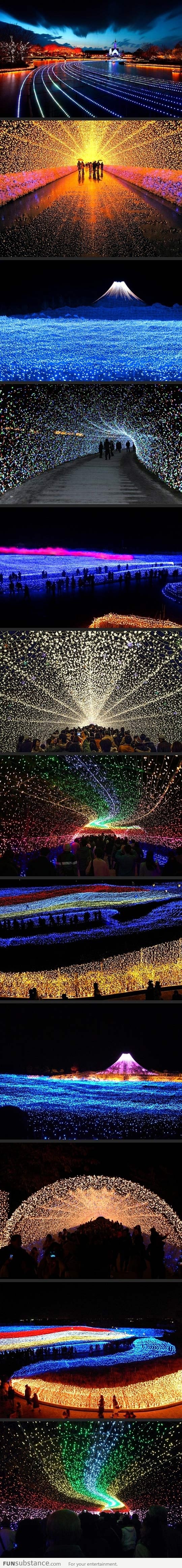 Japan's Winter Lights Festival