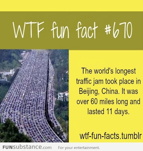 longest traffic